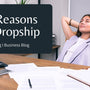 10 Reasons to Dropship - Natural Zing
