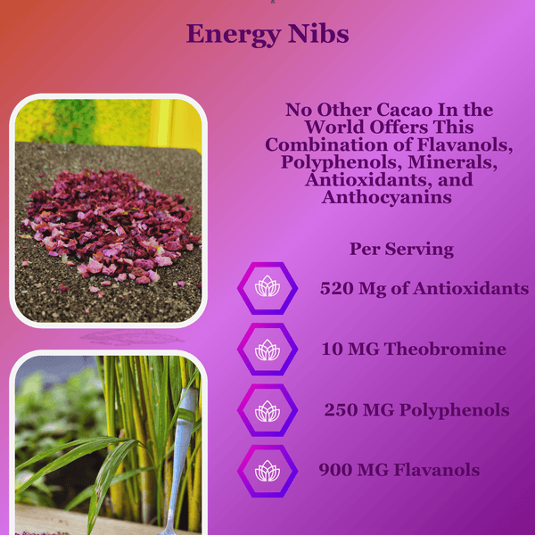 Vital Purple: High Flavanol Cocoa Nibs 10z | High Antioxidant | Low Cadmium | Raw Cacao - Natural Zing
