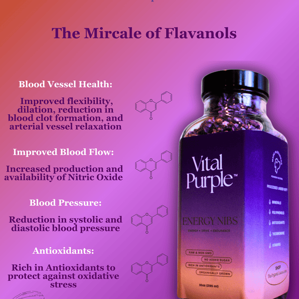 Vital Purple: High Flavanol Cocoa Nibs 10z | High Antioxidant | Low Cadmium | Raw Cacao - Natural Zing