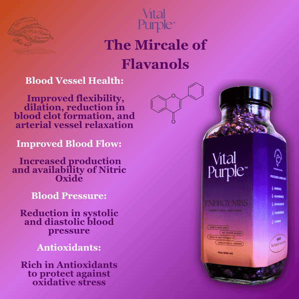 Vital Purple: High Flavanol Cocoa Nibs 10z | High Antioxidant | Low Cadmium | Raw Cacao - Natural Zing