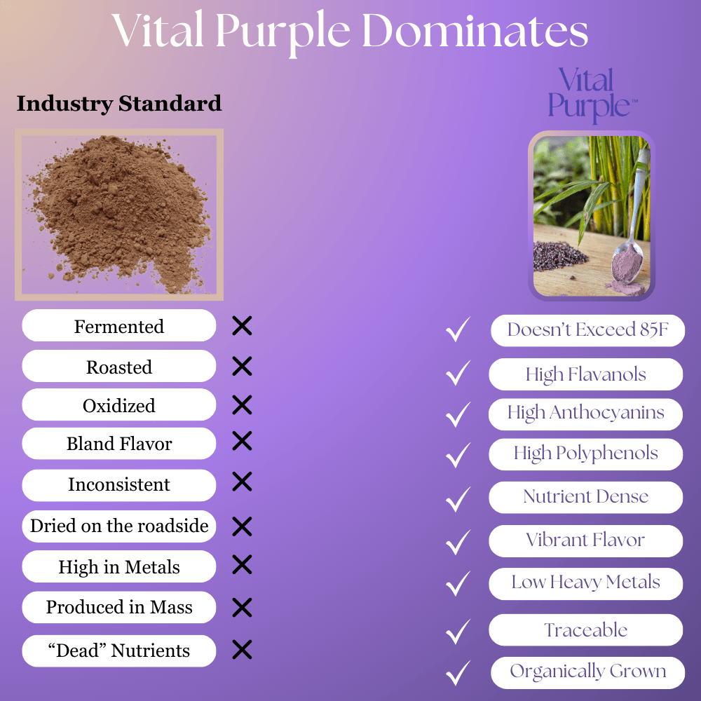 Vital Purple: High Flavanol Cocoa Nibs 10z | High Antioxidant | Low Cadmium | Raw Cacao - Natural Zing