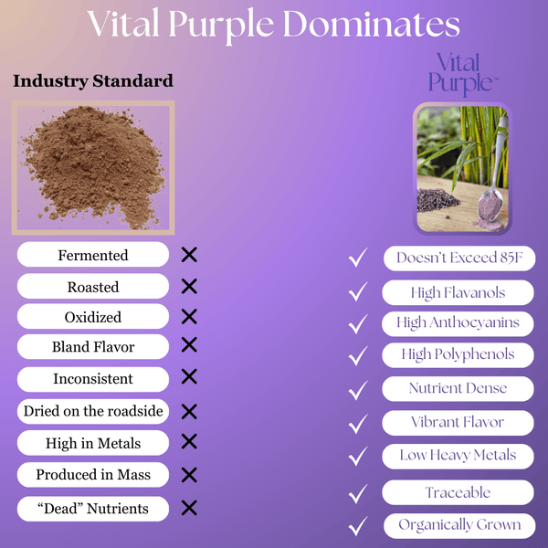 Vital Purple: High Flavanol Cocoa Nibs 10z | High Antioxidant | Low Cadmium | Raw Cacao - Natural Zing