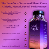 Vital Purple: High Flavanol Cocoa Nibs 10z | High Antioxidant | Low Cadmium | Raw Cacao - Natural Zing