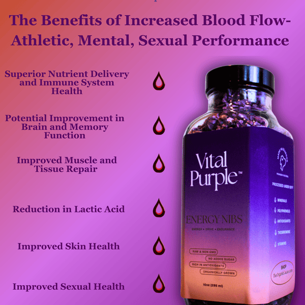 Vital Purple: High Flavanol Cocoa Nibs 10z | High Antioxidant | Low Cadmium | Raw Cacao - Natural Zing