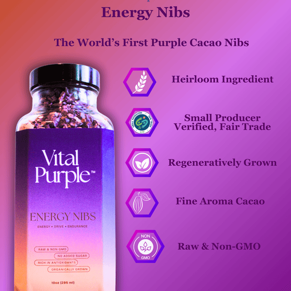 Vital Purple: High Flavanol Cocoa Nibs 10z | High Antioxidant | Low Cadmium | Raw Cacao - Natural Zing