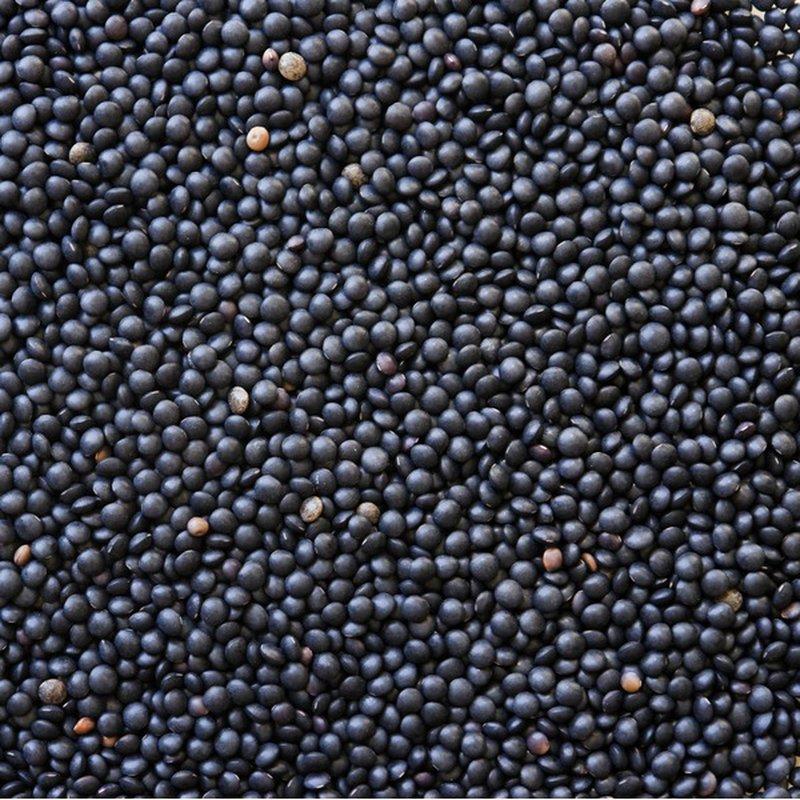 Black Lentils 16 oz - Natural Zing