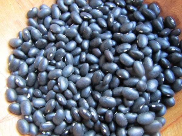 Black Turtle Beans 16 oz - Natural Zing