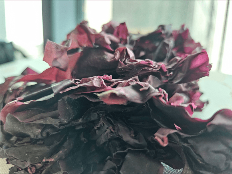 Easy Ways to Enjoy Dulse and Sea Veg This Fall - Natural Zing