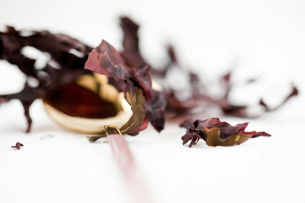 How to Store Dulse Whole Leaf for Fresh Taste All Winter - Natural Zing