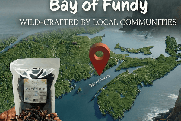 Warm Winter Meal Ideas with Flavorful Dulse Seaweed Flakes - Natural Zing