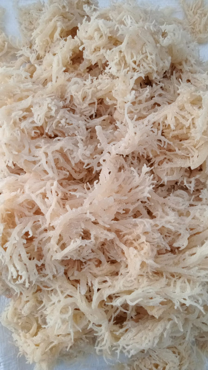 Why Is It So Hard to Find Iron on a Vegan Diet Using Sea Veggies - Natural Zing