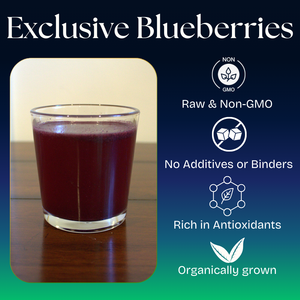 Wild Blueberry Powder | Antioxidants | Wildcrafted, Selected, Rare | Anthocyanins | 8.8 oz