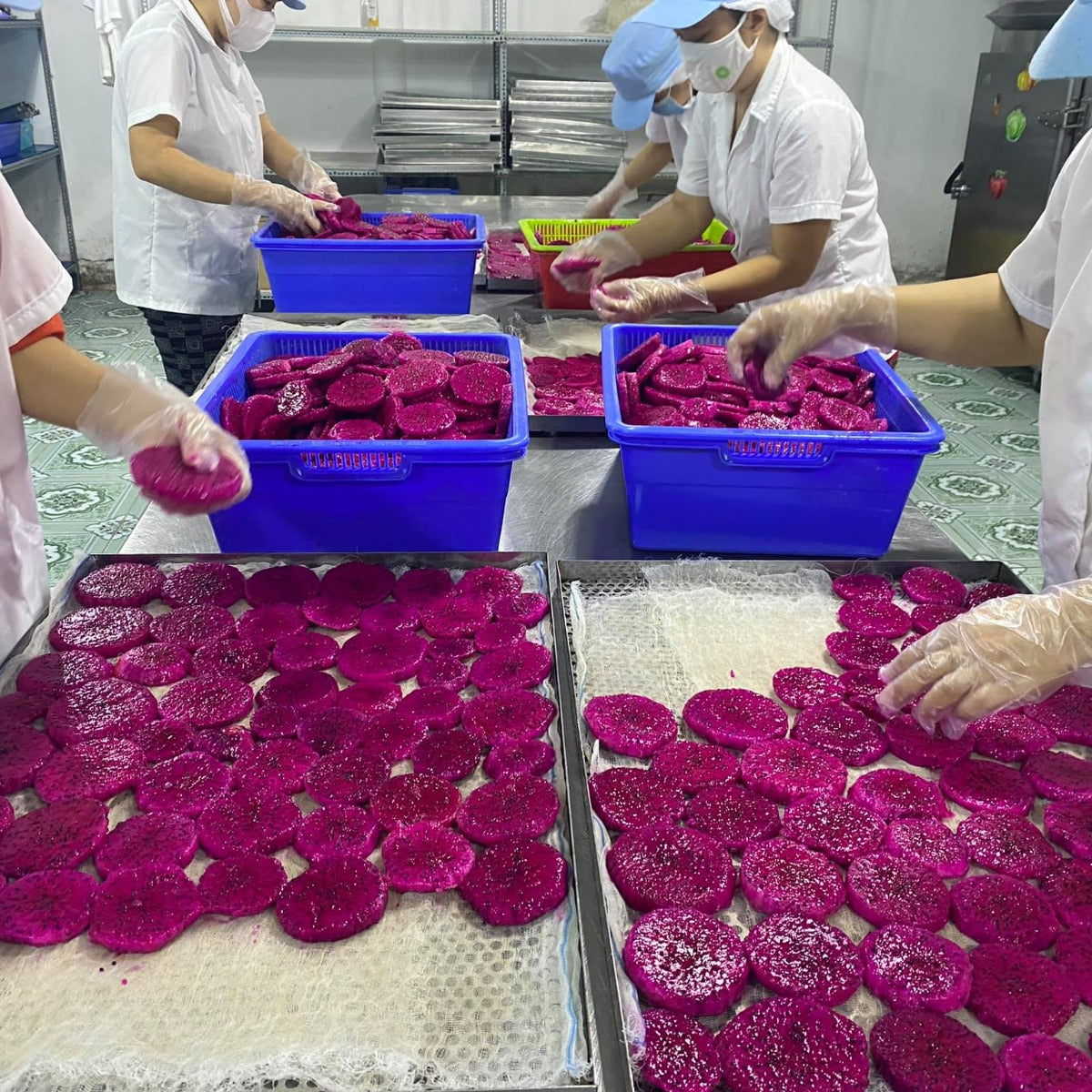 Soft Dried Dragon Fruit