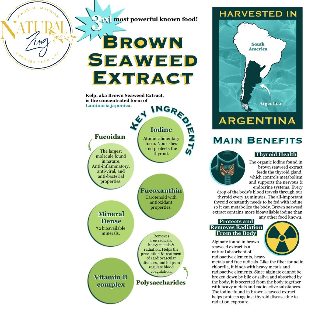 Brown Seaweed Extract (60 Capsules) - Natural Zing