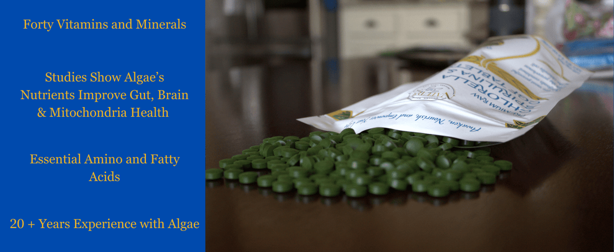 Chlorella/Spirulina/Chlorella Growth Factor Tablets 45/45/10 - Natural Zing