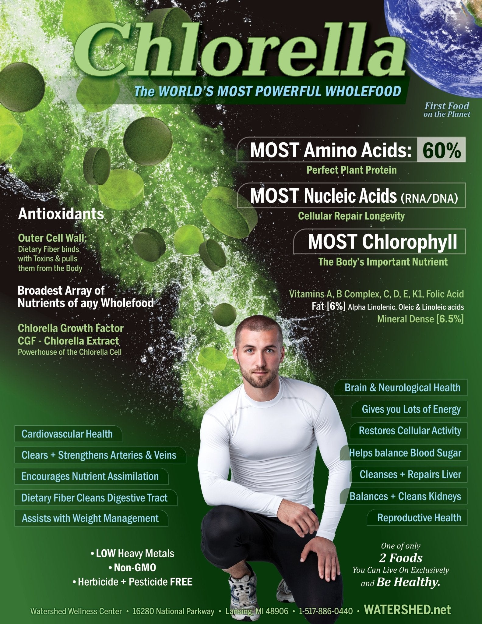 45% Chlorella 45% Spirulina 10% CGF Tablets - Natural Zing