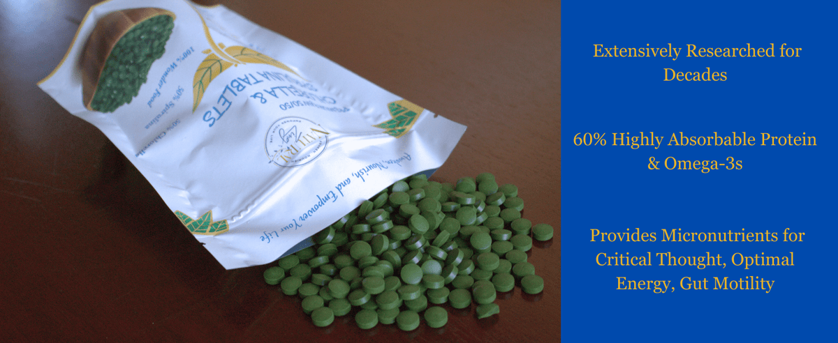 Chlorella/Spirulina/Chlorella Growth Factor Tablets 45/45/10 - Natural Zing