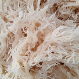 Fresh Irish Sea Moss 8 oz - Natural Zing