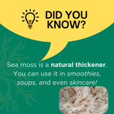 Irish Sea Moss Powder - Natural Zing