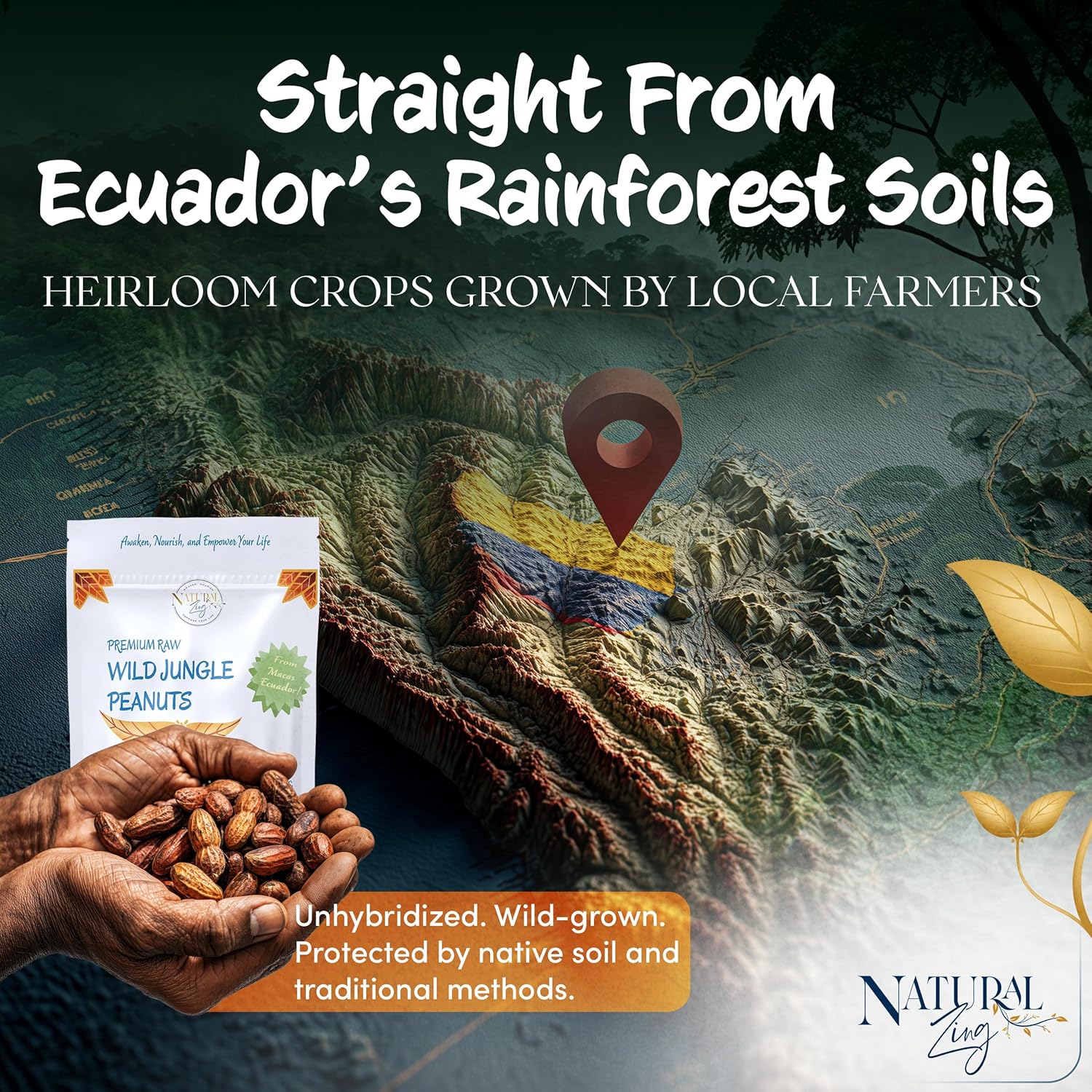 Wild Jungle Raw Peanuts (No Aflatoxins) – Natural Zing