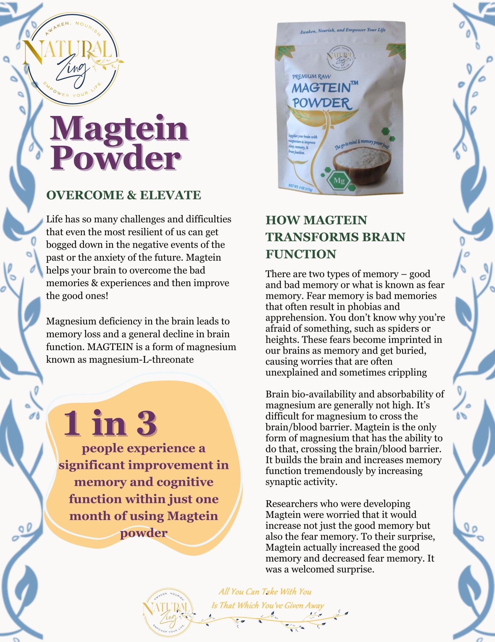 Magtein Powder