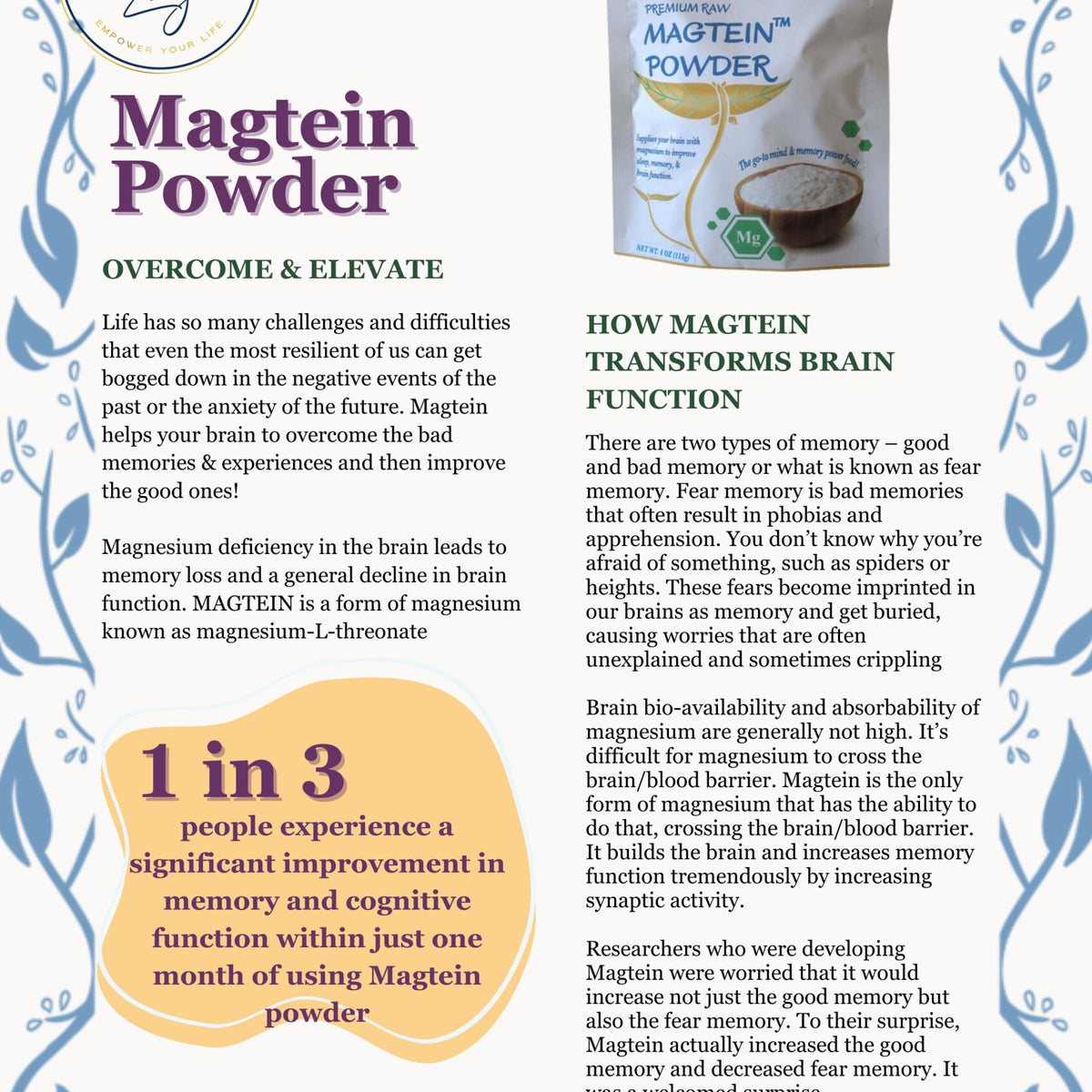 Magtein Powder - Natural Zing