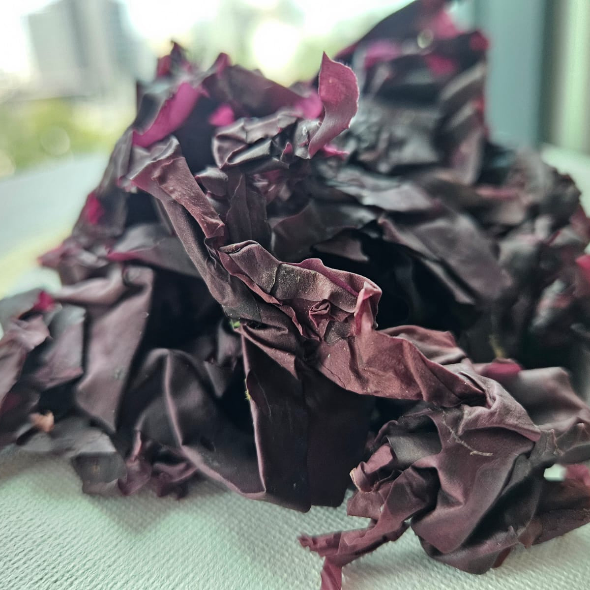 Raw Dulse Flakes - Natural Zing