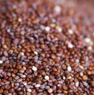 Red Incan Quinoa 16 oz - Natural Zing