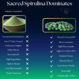 Sacred Spirulina- Organically Grown Spirulina Tablets, 16oz, 151 Servings - Natural Zing