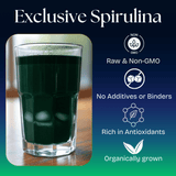 Sacred Spirulina Powder - Natural Zing