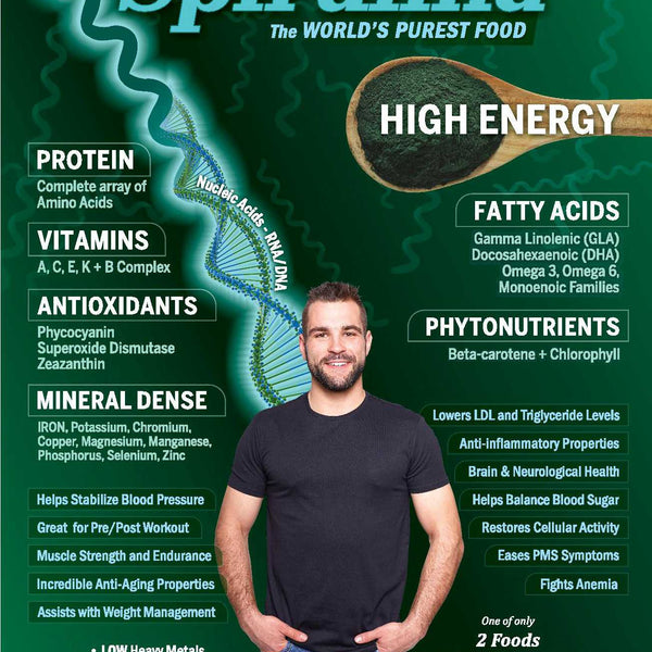 Spirulina Powder - Natural Zing