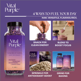 Vital Purple: High Flavanol Cocoa Nibs 10z | High Antioxidant | Low Cadmium | Raw Cacao - Natural Zing