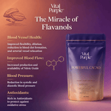 Vital Purple: High Flavanol Cocoa Powder- 25% Fat | 6 oz | High Antioxidant Cacao | Low Cadmium Cacao - Natural Zing