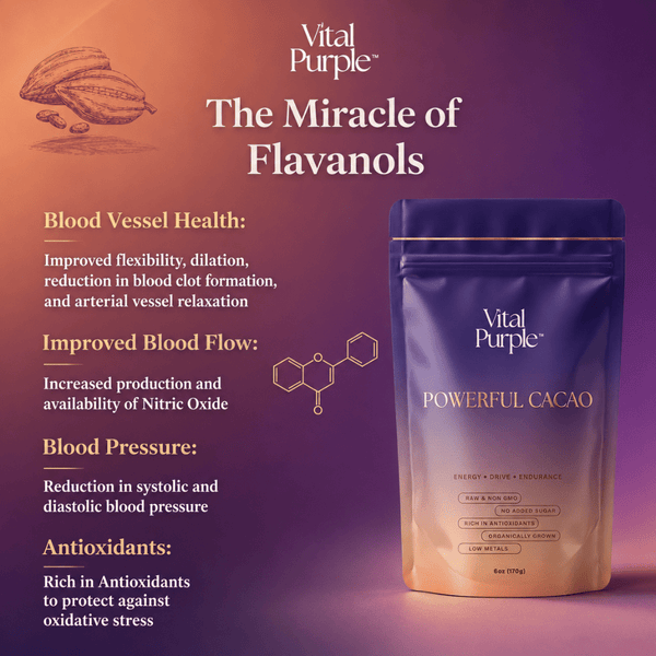 Vital Purple: High Flavanol Cocoa Powder- 25% Fat | 6 oz | High Antioxidant Cacao | Low Cadmium Cacao - Natural Zing
