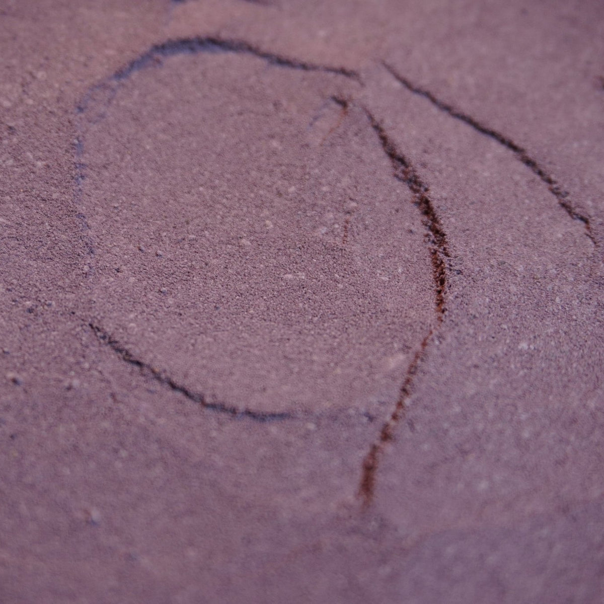 Vital Purple: High Flavanol Cocoa Powder - 25% Fat | 6 oz | High Antioxidant Cacao | Low Cadmium Cacao - Natural Zing