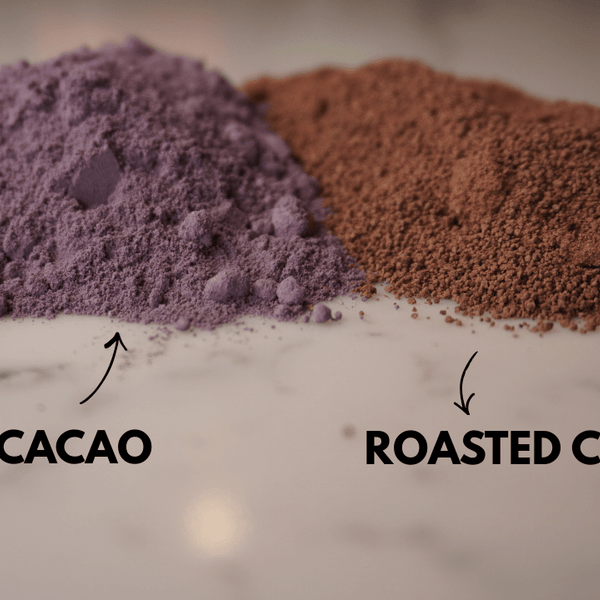Vital Purple: High Flavanol Cocoa Powder - 25% Fat | 6 oz | High Antioxidant Cacao | Low Cadmium Cacao - Natural Zing
