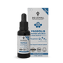 Bee & You Propolis Water Soluble Extract with Vit D3 + Vit K2-1 fl oz - Natural Zing