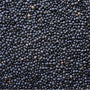 Black Lentils 16 oz - Natural Zing