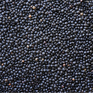 Black Lentils 16 oz - Natural Zing
