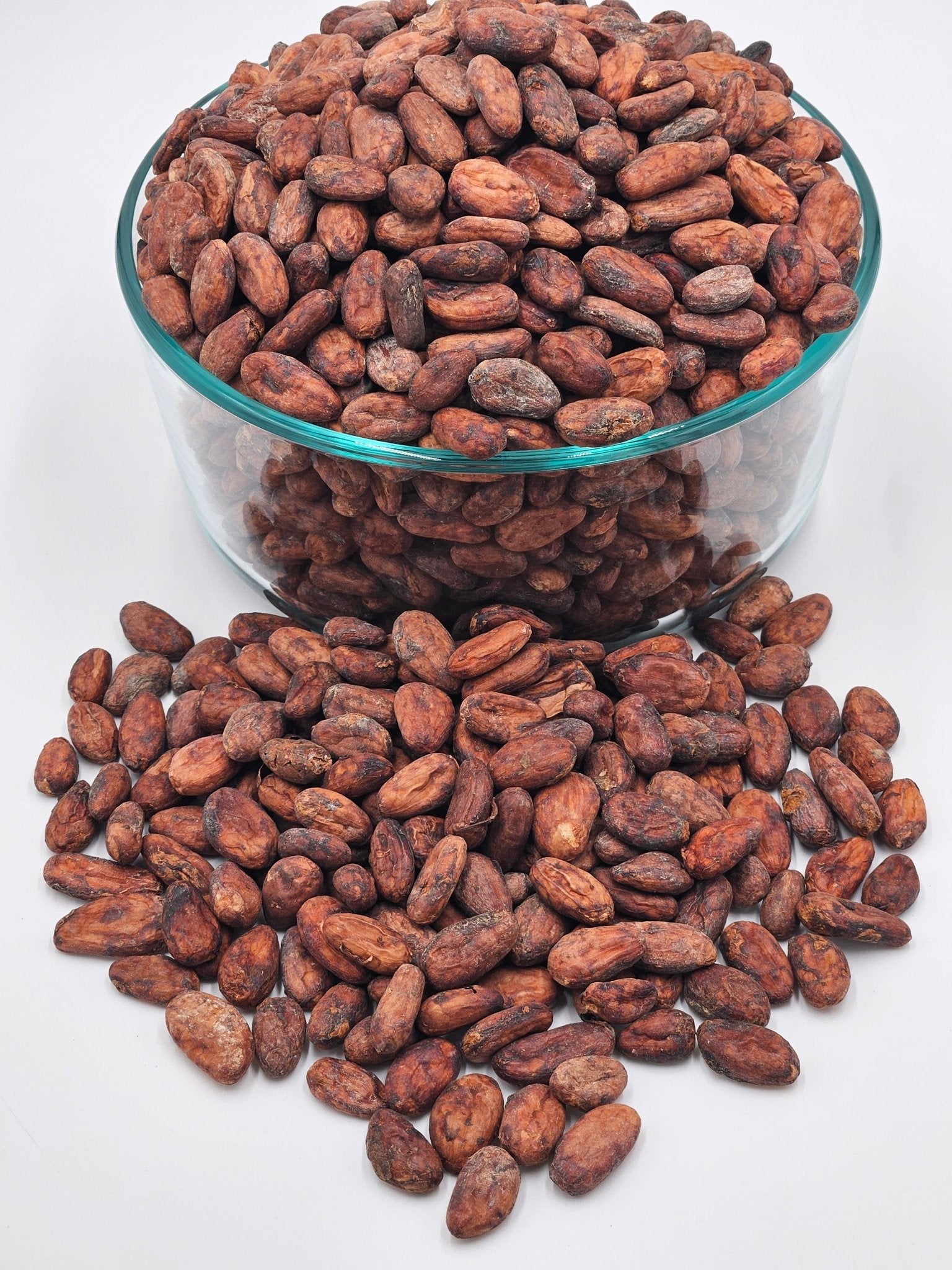 Cacao Beans 16 oz- Criollo - Natural Zing