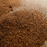 Cacao Beans 8 oz- Criollo - Natural Zing