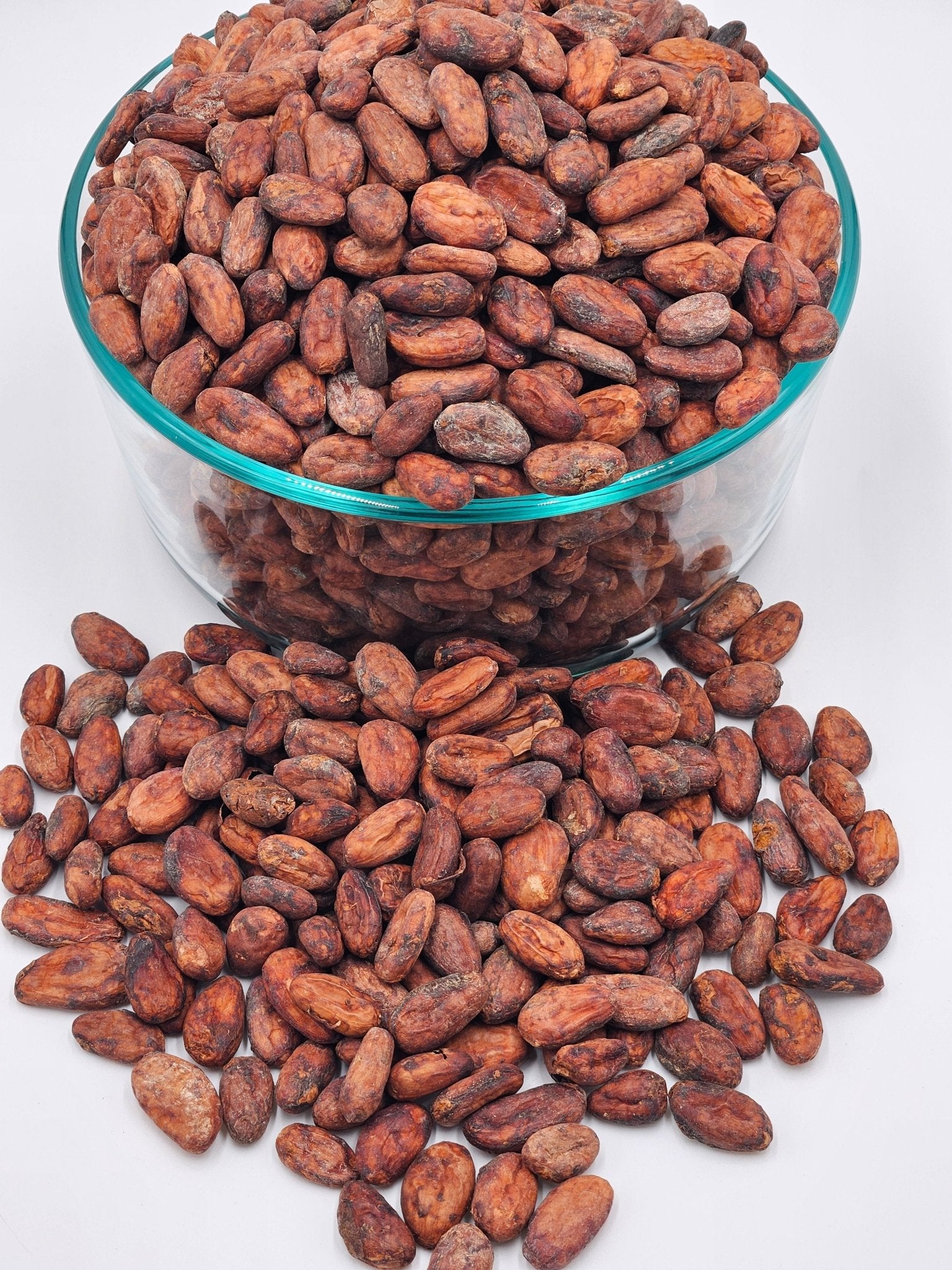 Cacao Beans 8 oz- Criollo - Natural Zing