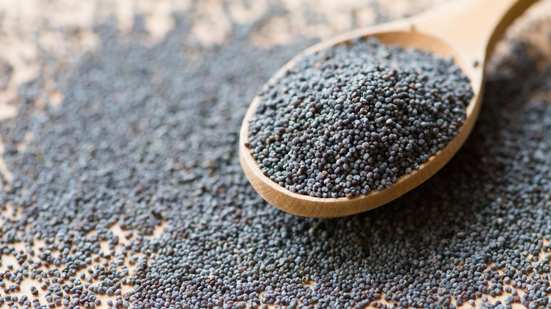 Poppy Seeds 8 oz - Natural Zing